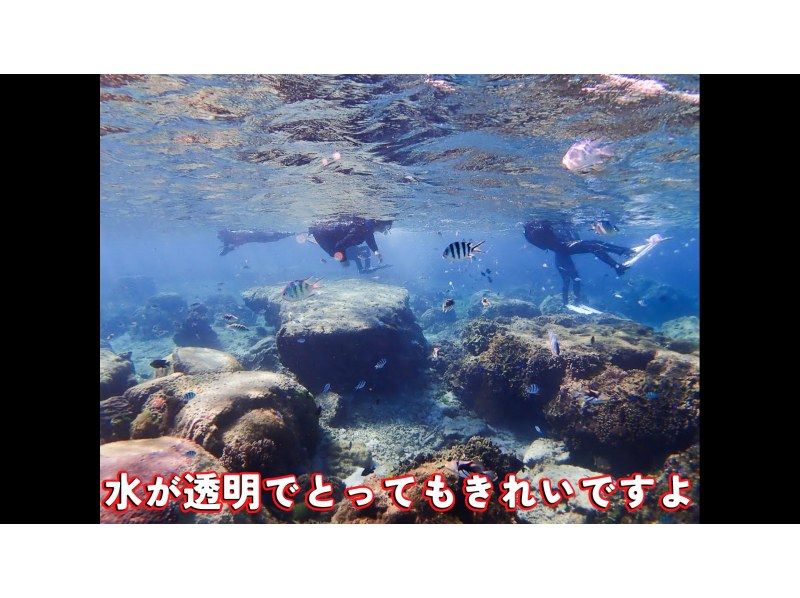 Private snorkeling on a natural beach where you have a high chance of encountering sea turtles! ~ Sea turtle exploration course ~ Free photo and video shooting ♪ Data will be presented to you after the tourの紹介画像