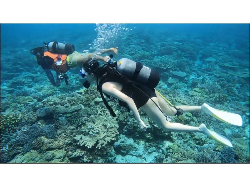 【오키나와 · 차탄 출발 · 세소 · 수나지마 다이빙】 체험 다이빙 2DIVE ★ 첫 분 · 수영하지 않는 분들도 안심!の紹介画像