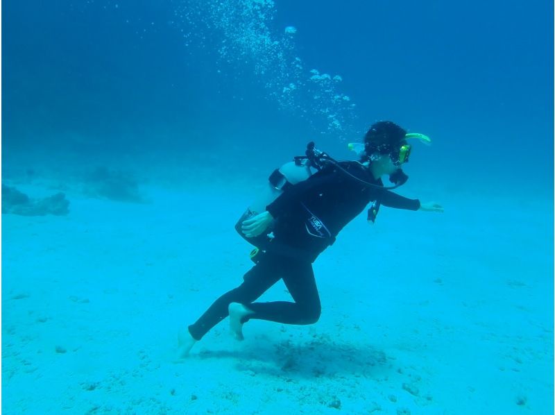 【오키나와 · 차탄 출발 · 세소 · 수나지마 다이빙】 체험 다이빙 2DIVE ★ 첫 분 · 수영하지 않는 분들도 안심!の紹介画像