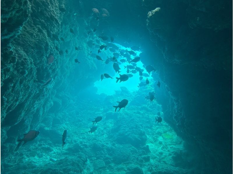 【沖繩、北谷、瀨底、水納島深潛】2次深潛體驗★初次體驗者及不會游泳者也能安心體驗！含免費接送！の紹介画像