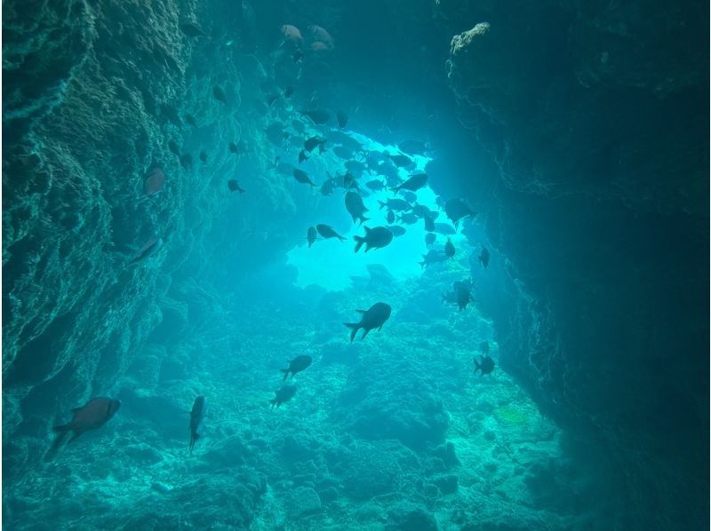 【오키나와 · 차탄 출발 · 세소 · 수나지마 다이빙】 체험 다이빙 2DIVE ★ 첫 분 · 수영하지 않는 분들도 안심!の紹介画像