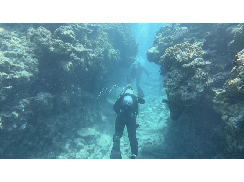 【오키나와 · 차탄 출발 · 세소 · 수나지마 다이빙】 체험 다이빙 2DIVE ★ 첫 분 · 수영하지 않는 분들도 안심!の紹介画像