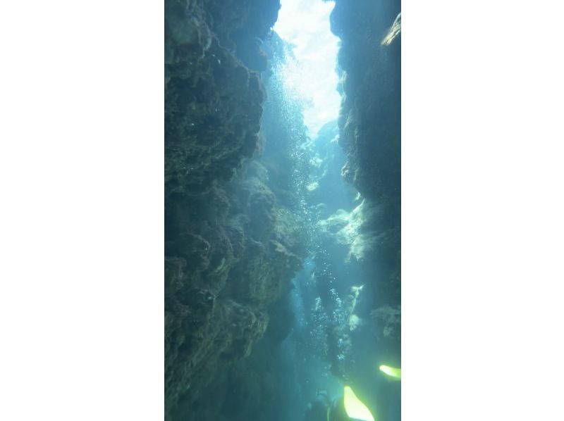 【오키나와 · 차탄 출발 · 세소 · 수나지마 다이빙】 체험 다이빙 2DIVE ★ 첫 분 · 수영하지 않는 분들도 안심!の紹介画像