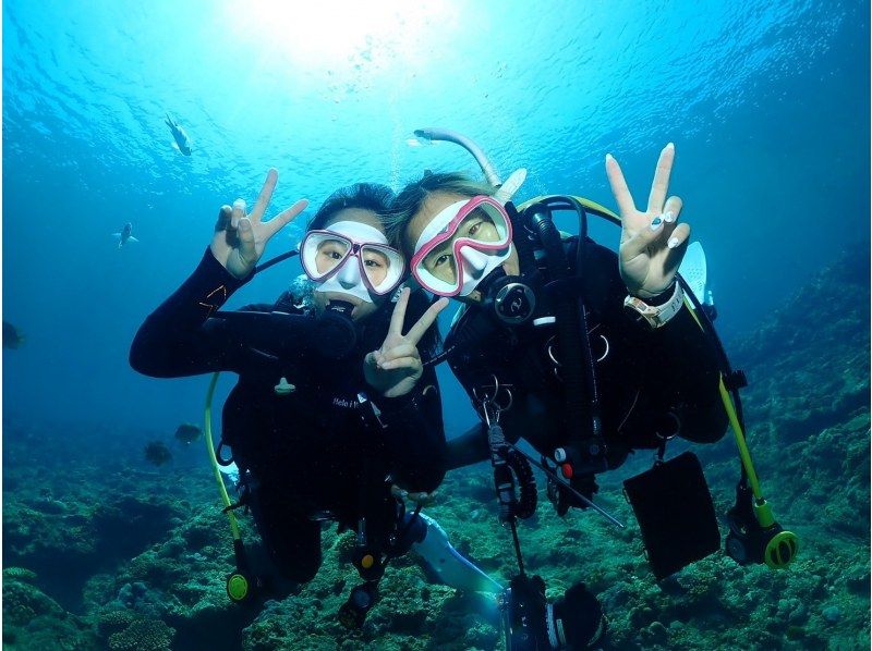 [Okinawa, Onna Village] High probability! Boat experience diving where you can meet sea turtles Half-day 2 dives Wonderful video shooting planの紹介画像