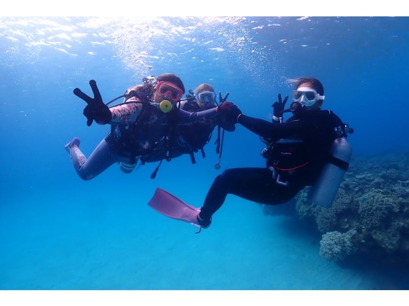 [Okinawa, Onna Village] High probability! Boat experience diving where you can meet sea turtles Half-day 2 dives Wonderful video shooting planの紹介画像