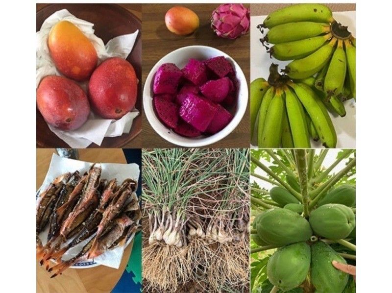 【特安/石垣島】春休みセール！！マングローブカヌー（おやつ付き）写真動画無料！（防水ケースレンタル・駐車場無料トイレ シャワー完備）の紹介画像