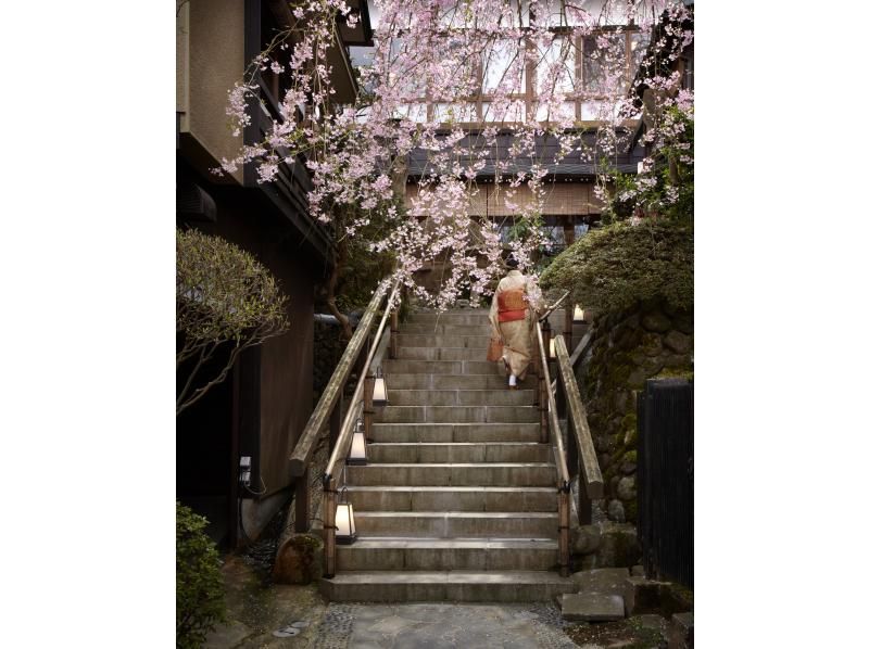 新潟県加茂市　ヤマカフェ　春のイベント「桜を愉しむカフェ」の紹介画像