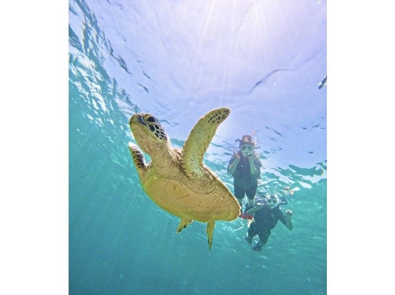 ★Student discount★【Phantom island & 99.99% chance of encountering sea turtles】Visiting popular spots★Lowest price in the industry★Family discount★【Participation possible for ages 3 and up】Reservations accepted on the day! Free pick-up and drop-off/photosの紹介画像