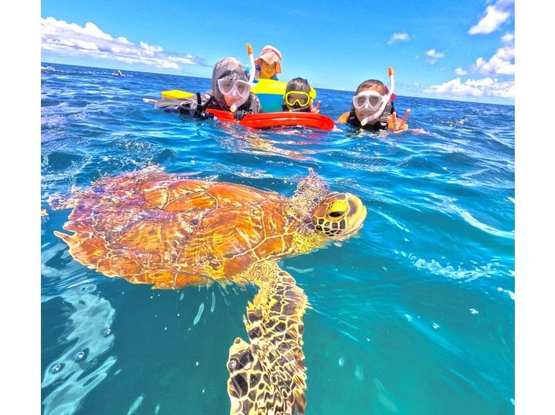 Student discount★ [Phantom island & 99.99% chance of encountering sea turtles] Half day♪ Ishigaki A must-visit spot at least once in your life! Popular spot★ Industry's cheapest [Participation possible from age 3] Same-day OK! Free pick-up and drop-off/photosの紹介画像