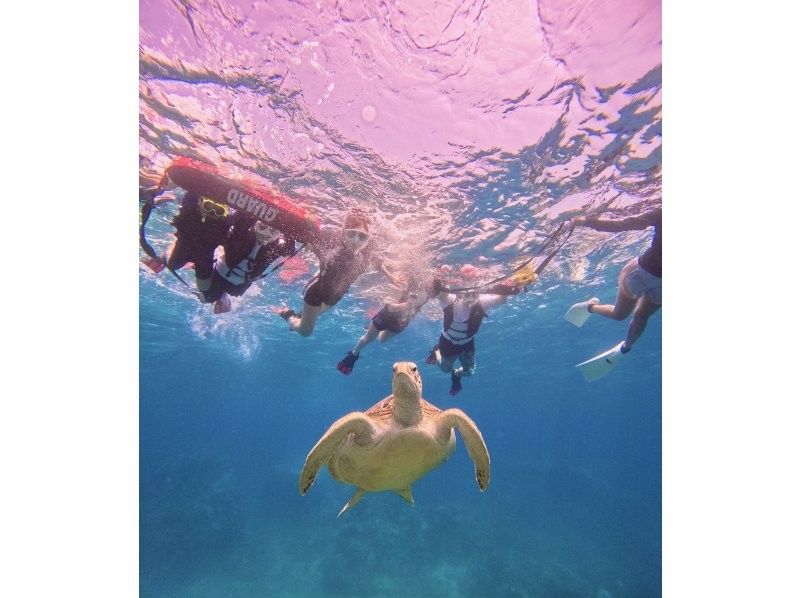 ★Student discount★【Phantom island & 99.99% chance of encountering sea turtles】Visiting popular spots★Lowest price in the industry★Family discount★【Participation possible for ages 3 and up】Reservations accepted on the day! Free pick-up and drop-off/photosの紹介画像