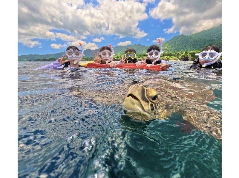 Student discount★ [Phantom island & 99.99% chance of encountering sea turtles] Half day♪ Ishigaki A must-visit spot at least once in your life! Popular spot★ Industry's cheapest [Participation possible from age 3] Same-day OK! Free pick-up and drop-off/photosの紹介画像