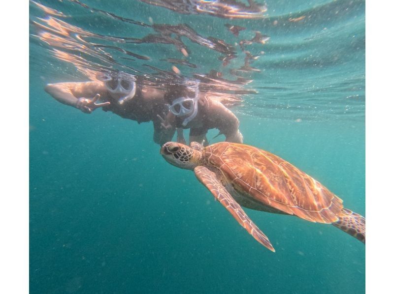 Student discount★ [Phantom island & 99.99% chance of encountering sea turtles] Half day♪ Ishigaki A must-visit spot at least once in your life! Popular spot★ Industry's cheapest [Participation possible from age 3] Same-day OK! Free pick-up and drop-off/photosの紹介画像