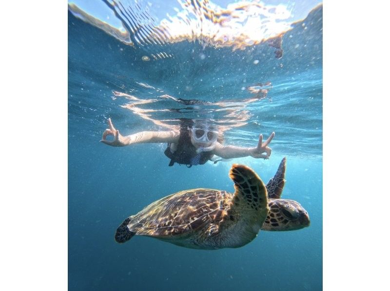 Student discount★ [Phantom island & 99.99% chance of encountering sea turtles] Half day♪ Ishigaki A must-visit spot at least once in your life! Popular spot★ Industry's cheapest [Participation possible from age 3] Same-day OK! Free pick-up and drop-off/photosの紹介画像