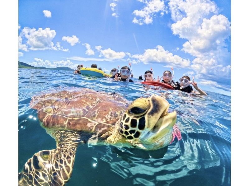 ★Student discount★【Phantom island & 99.99% chance of encountering sea turtles】Visiting popular spots★Lowest price in the industry★Family discount★【Participation possible for ages 3 and up】Reservations accepted on the day! Free pick-up and drop-off/photosの紹介画像