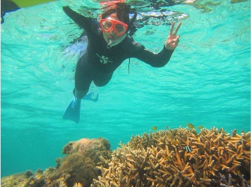 [โอกินาว่าเกาะอิชิงากิ] ความเพลิดเพลินในการเที่ยวชมเกาะด้วยการเล่นน้ำทะเล (ดำน้ำดูปะการัง)の紹介画像