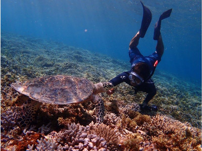 【沖縄・石垣島】幻の島上陸＆ウミガメorマンタシュノーケリング！GoPro無料レンタルあり（午前/午後）の紹介画像