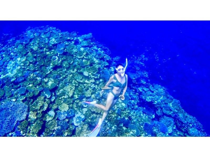 【少人数制満喫プラン】「幻の島」上陸＆美ら海シュノーケリング（GoPro 写真サービス付き）の紹介画像