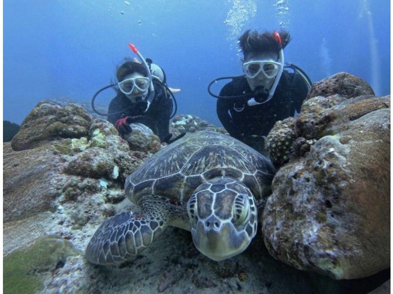 [Swim with sea turtles in Ishigaki Island!] Sea turtle point experience diving (with GoPro photo service)の紹介画像