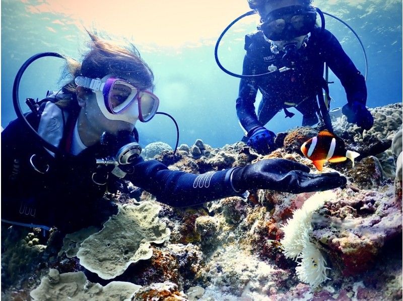 [Okinawa ・ Miyakojima 】 Forget time and enjoy elegantly! Experience by boat Diving ・ 1 dive [1 day course with lunch]の紹介画像