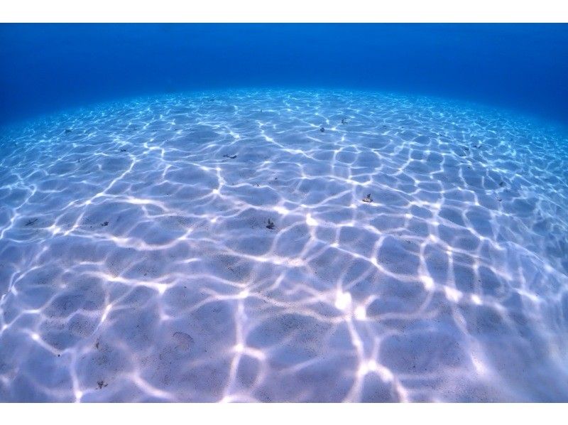 [Okinawa ・ Miyakojima 】 Forget time and enjoy elegantly! Experience by boat Diving ・ 1 dive [1 day course with lunch]の紹介画像