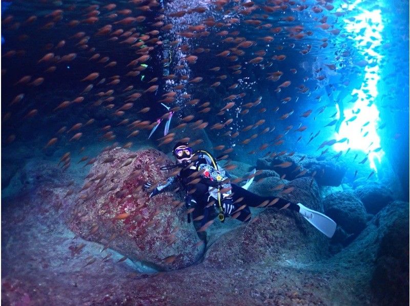 [Okinawa ・ Miyakojima 】 Forget time and enjoy elegantly! Experience by boat Diving ・ 1 dive [1 day course with lunch]の紹介画像