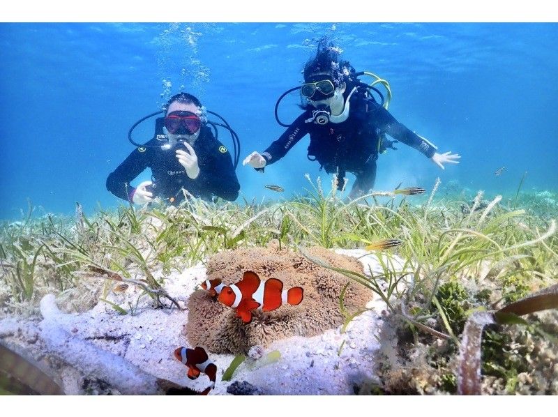 [Okinawa ・ Miyakojima 】 Forget time and enjoy elegantly! Experience by boat Diving ・ 1 dive [1 day course with lunch]の紹介画像