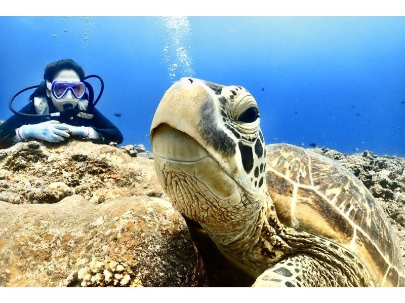 [Okinawa ・ Miyakojima 】 Forget time and enjoy elegantly! Experience by boat Diving ・ 1 dive [1 day course with lunch]の紹介画像