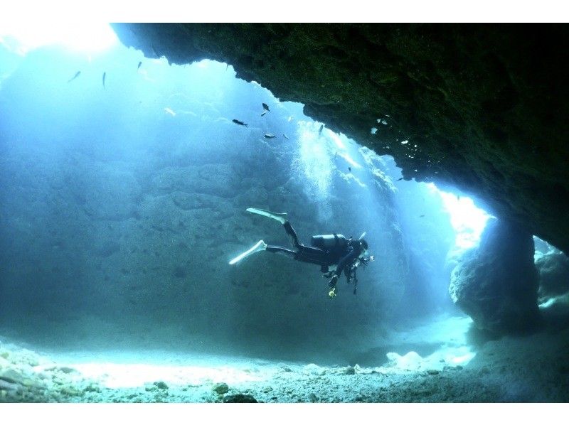[Okinawa ・ Miyakojima 】 Forget time and enjoy elegantly! Experience by boat Diving ・ 1 dive [1 day course with lunch]の紹介画像