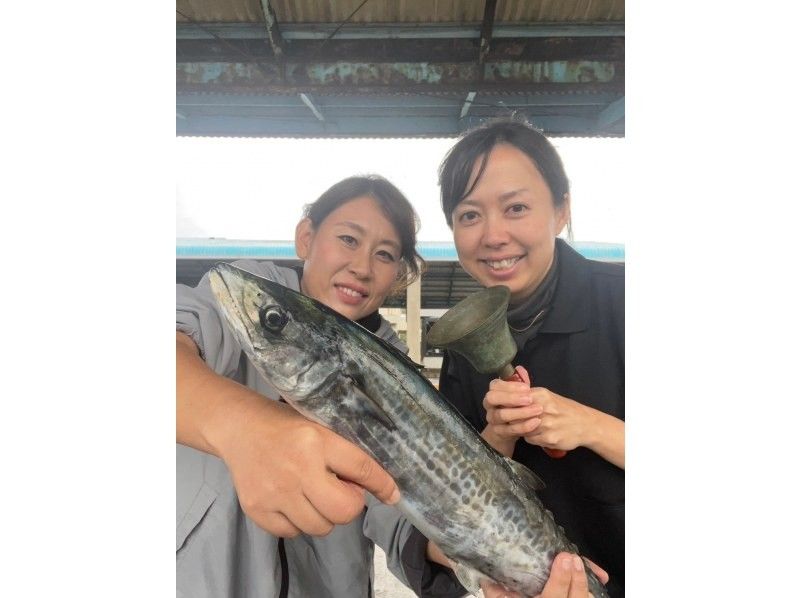 [Aichi, Atsumi Peninsula] Atsumi Fish Market Live Auction Experienceの紹介画像