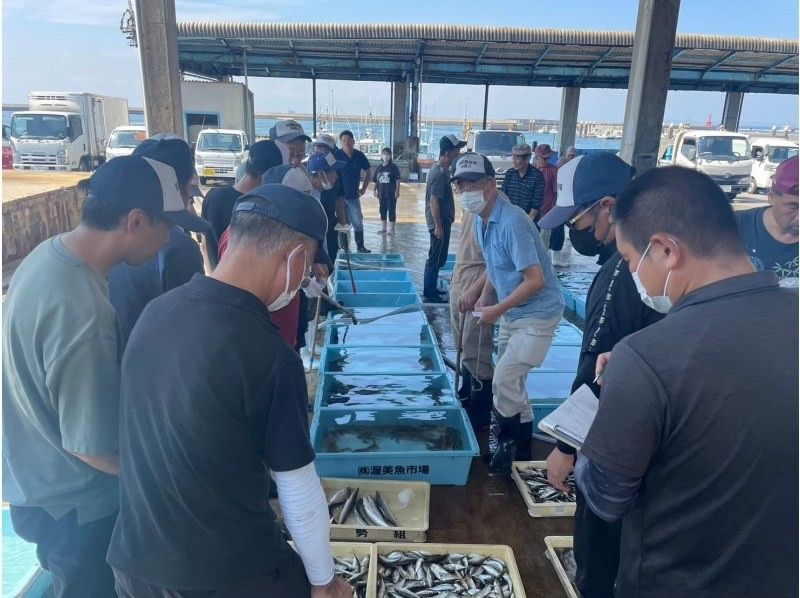 【愛知・渥美半島】公認ガイドと行く、渥美魚市場でのセリ見学/昼食・お土産に使えるクーポン付の紹介画像