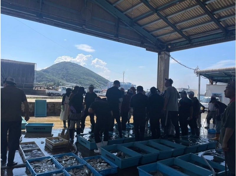 [Aichi, Atsumi Peninsula] Atsumi Fish Market Live Auction Experienceの紹介画像