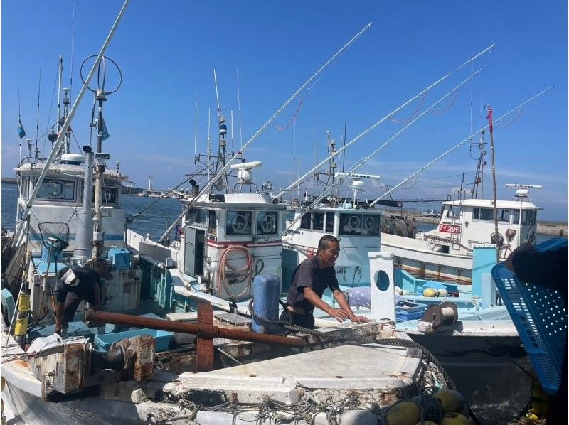 【愛知・渥美半島】公認ガイドと行く、渥美魚市場でのセリ見学/昼食・お土産に使えるクーポン付の紹介画像