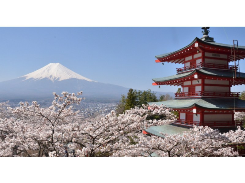 [山梨/富士山] 东京出发！游览热门景点！の紹介画像