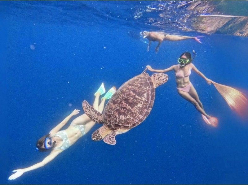 [Swim with sea turtles!] Sea turtle point snorkeling (with GoPro photo service)の紹介画像