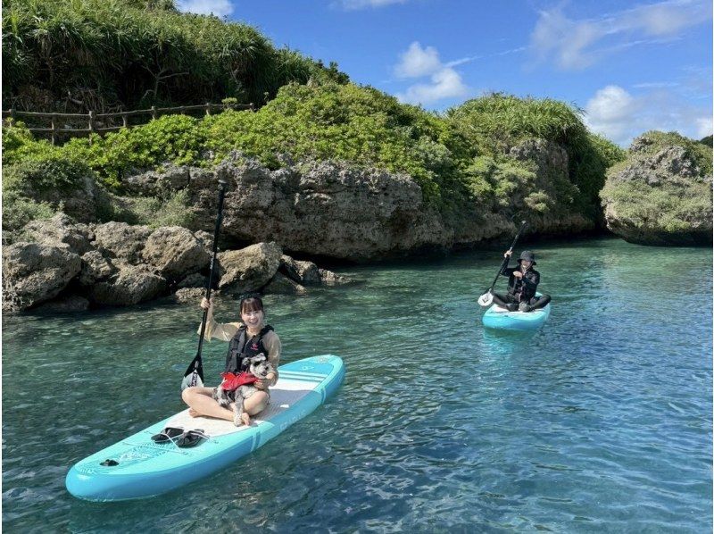 【미야코지마/송영 가능】★당일 예약 OK★【대정평! 비치 SUP 투어] 송영 · 사진 · 동영상 데이터 무료!の紹介画像