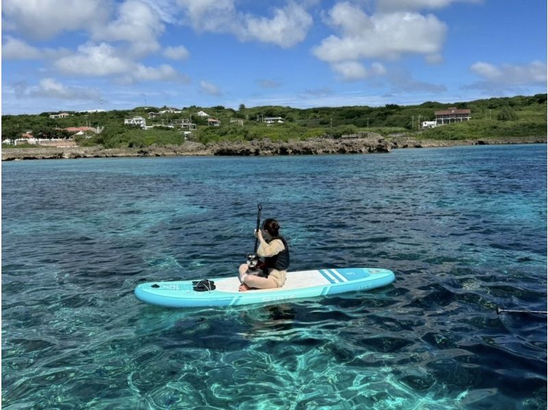 【미야코지마/송영 가능】★당일 예약 OK★【대정평! 비치 SUP 투어] 송영 · 사진 · 동영상 데이터 무료!の紹介画像