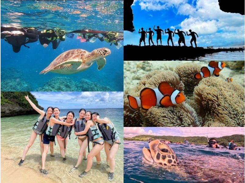 [Ishigaki Island/Half-day] Spectacular views! Kabira Bay Clear SUP & Blue Cave Exploration & Sea Turtle Snorkeling with a 99.9% chance of encountering sea turtles. Same-day reservations accepted! A very popular tour for couples and girls' trips.の紹介画像