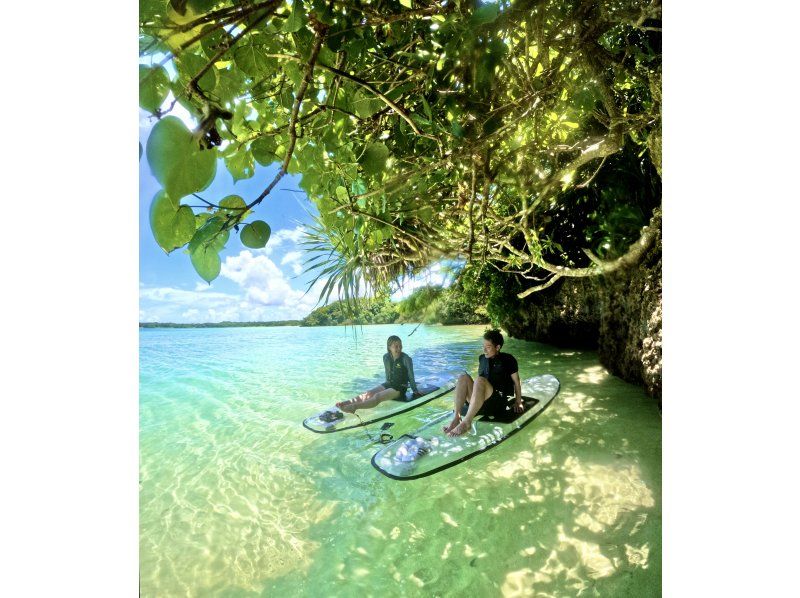 [Ishigaki Island/Half-day] Spectacular views! Kabira Bay Clear SUP & Blue Cave Exploration & Sea Turtle Snorkeling with a 99.9% chance of encountering sea turtles. Same-day reservations accepted! A very popular tour for couples and girls' trips.の紹介画像