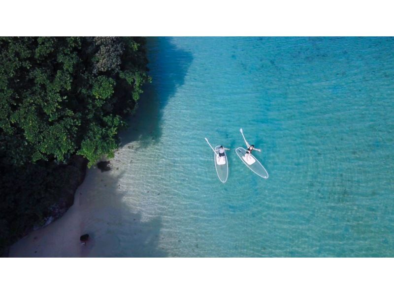 [Ishigaki Island/Half-day] Spectacular views! Kabira Bay Clear SUP & Blue Cave Exploration & Sea Turtle Snorkeling with a 99.9% chance of encountering sea turtles. Same-day reservations accepted! A very popular tour for couples and girls' trips.の紹介画像