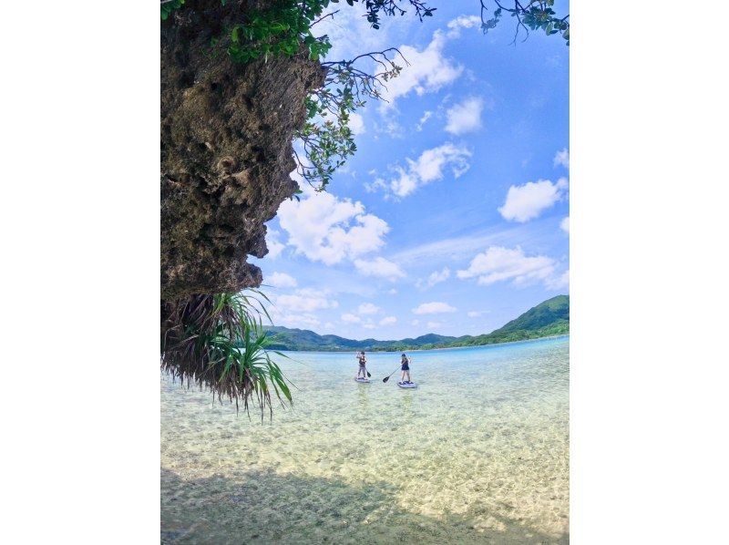 [Ishigaki Island/Half-day] Spectacular views! Kabira Bay Clear SUP & Blue Cave Exploration & Sea Turtle Snorkeling with a 99.9% chance of encountering sea turtles. Same-day reservations accepted! A very popular tour for couples and girls' trips.の紹介画像