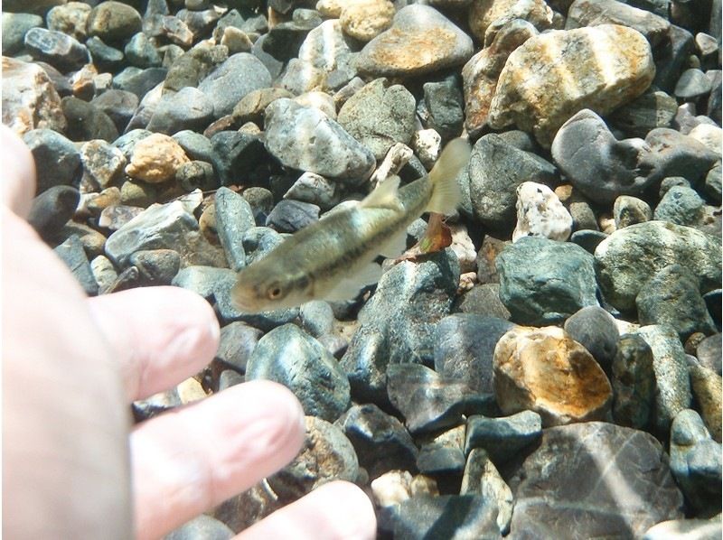 【滋賀】子どもと一緒に水遊び！ウォーターキッズ　キャニオンスイミングの紹介画像