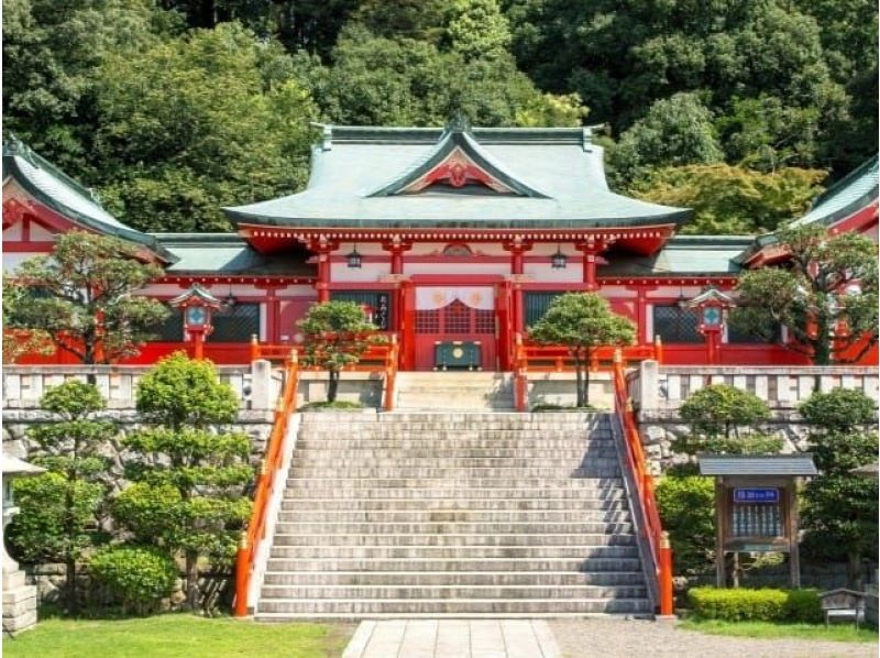 特急列車で行く！あしかがフラワーパークの「日本三大イルミネーション」＆織姫公園もみじ谷＆鑁阿寺の大いちょうの紅葉【029029-1421】の紹介画像
