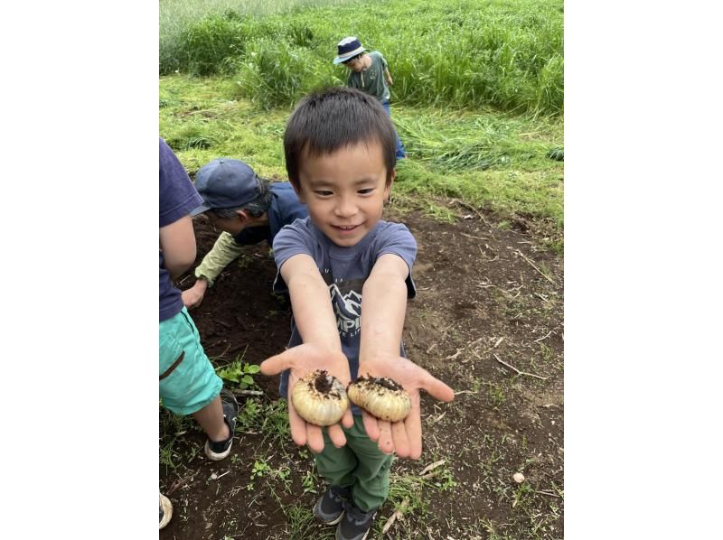 【千葉縣香取市】在農業發達的千葉縣與轉業農民一起體驗種植土豆の紹介画像