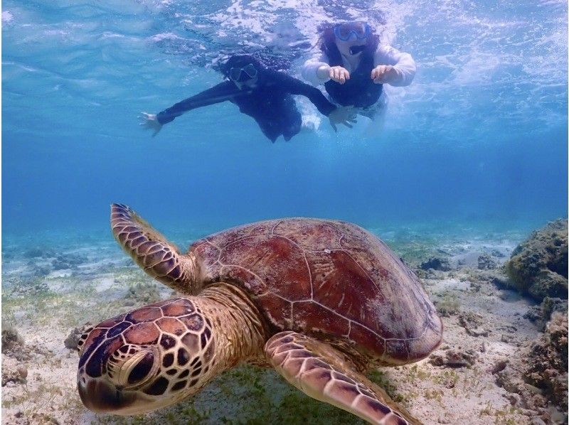 [Morning Activity x Sea Turtles] Sunrise SUP x Sea Turtle Snorkeling Double Experience Tourの紹介画像
