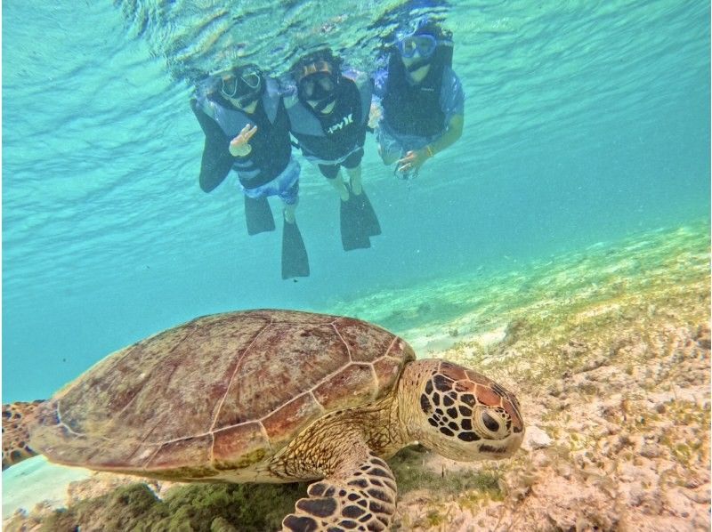 [Morning Activity x Sea Turtles] Sunrise SUP x Sea Turtle Snorkeling Double Experience Tourの紹介画像