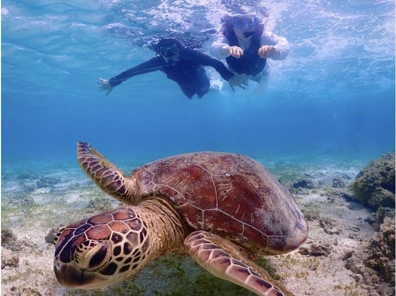 【晨間活動 x 海龜】SUP＆浮潛雙人體驗遊の紹介画像