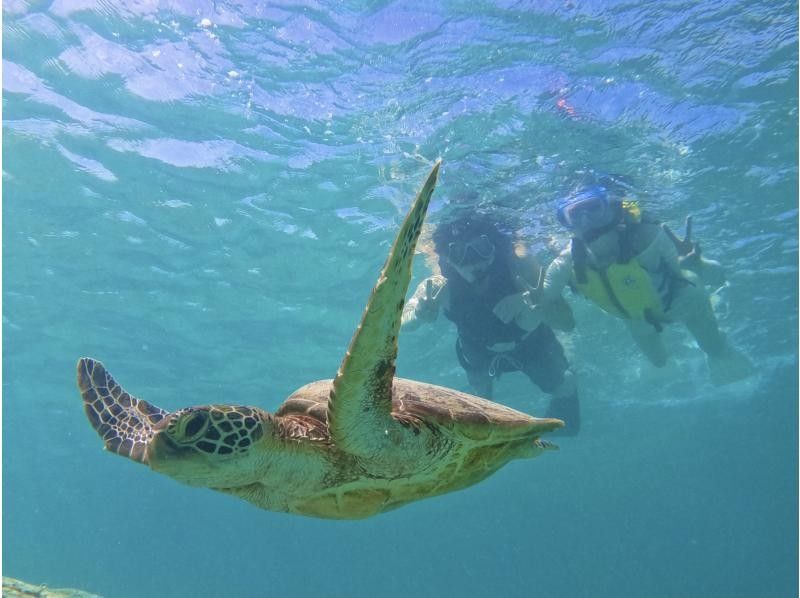 [Morning Activity x Sea Turtles] Sunrise SUP x Sea Turtle Snorkeling Double Experience Tourの紹介画像