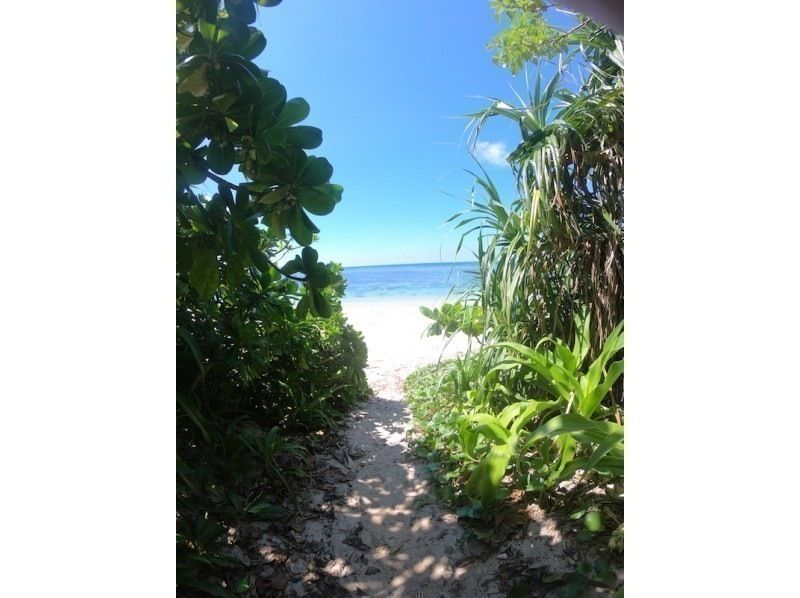 12月限定セール！石垣島・米原ビーチでスノーケルツアー！4歳〜OK！少人数制！温水シャワーあり！水中写真プレゼントの紹介画像