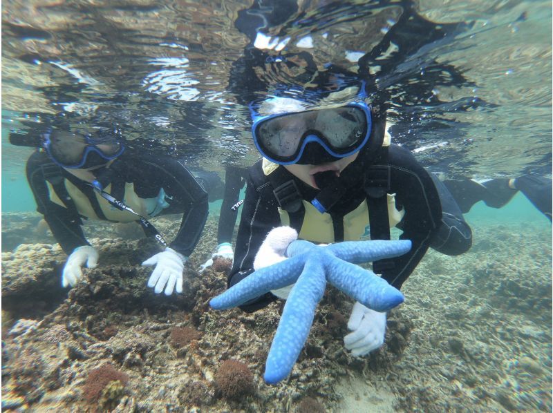 スプリングセール2025！石垣島・米原ビーチでスノーケルツアー！4歳〜OK！温水シャワーあり！水中写真プレゼントの紹介画像