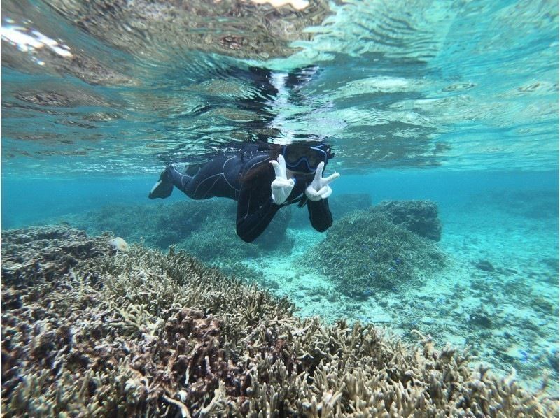 スプリングセール2025！石垣島・米原ビーチでスノーケルツアー！4歳〜OK！温水シャワーあり！水中写真プレゼントの紹介画像